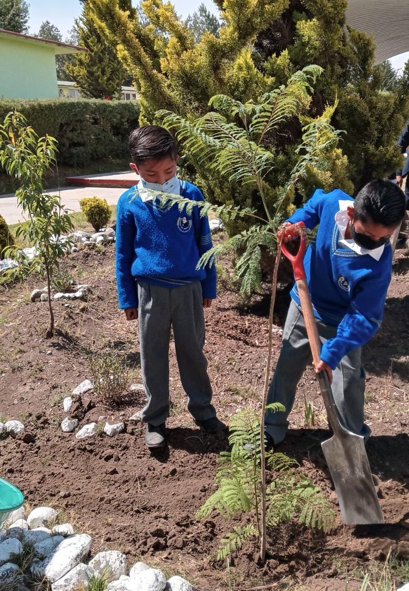 ZonP287's tweet photo. En el marco del #DiaMundialDelMedioAmbiente, en la escuela primaria Profra. Evangelina Alcántara de Lara, 15EPR4391D, zona P287, se realizaron actividades de conciencia y sensibilización, además de impulsar a la acción!🌳

#GeneracionR
@SEB_Edomex 
@TinocoGRogelio 
@Suseth_DeLaO https://t.co/xpRN4feSiQ