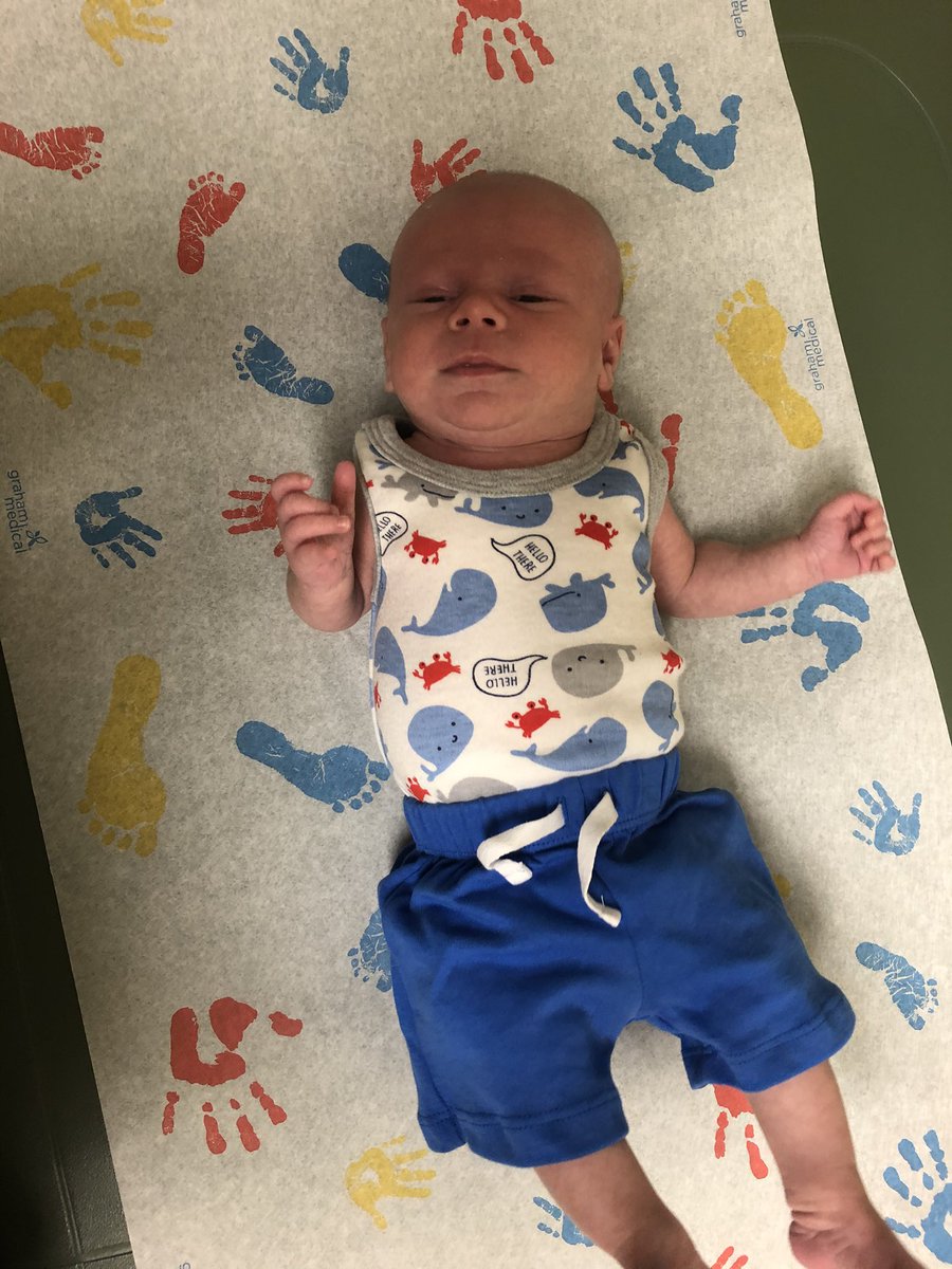 cxra_'s tweet photo. Chunky little whale 💙🐳 https://t.co/sczFRnlV2N