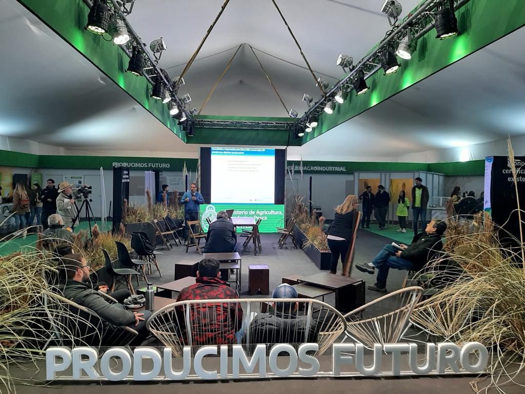 Fer Scaramuzza tweet media