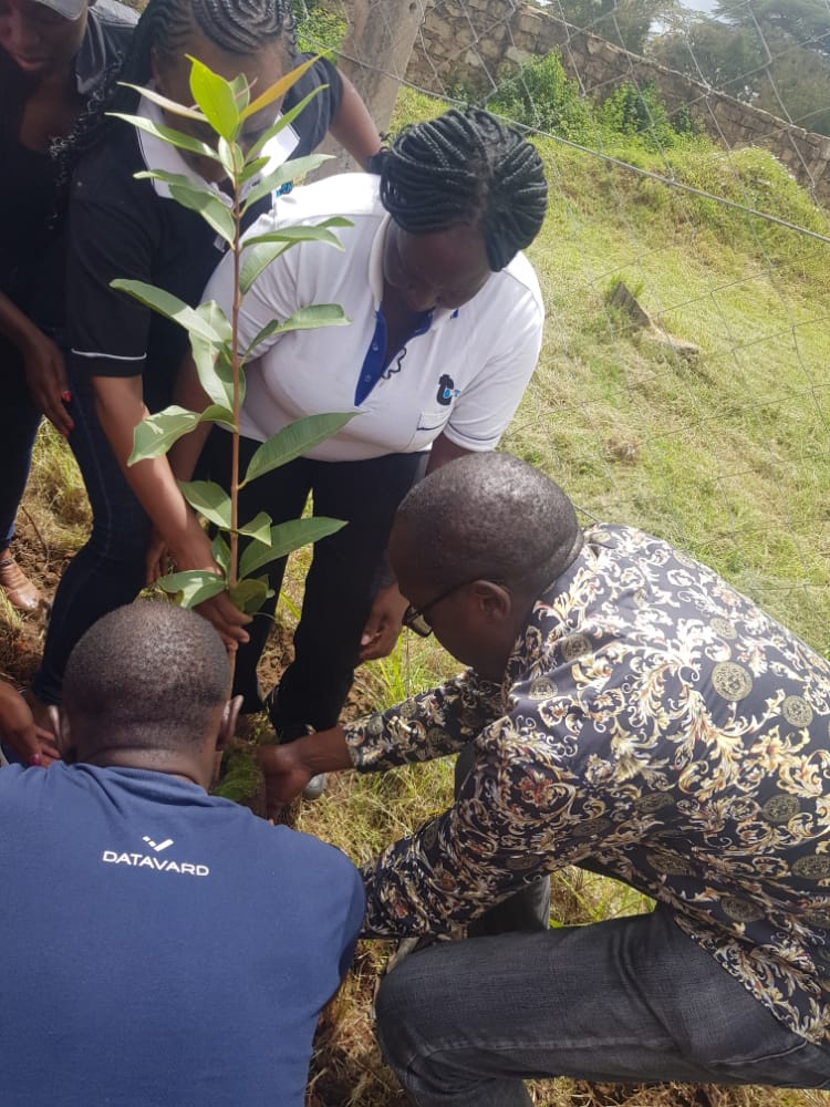 TardaKE's tweet photo. 1/@TardaKE Staff from our Machakos Office led by Regional Manager Mr. Gibson Mwakideu also held a tree planting ceremony to mark #WorldEnvironmentDay at Kenyatta Stadium alongside stakeholders such as @NemaKenya @Machakos_County @KeEquityBank among others. #TARDA4Environment https://t.co/6Fxm7XmoEk