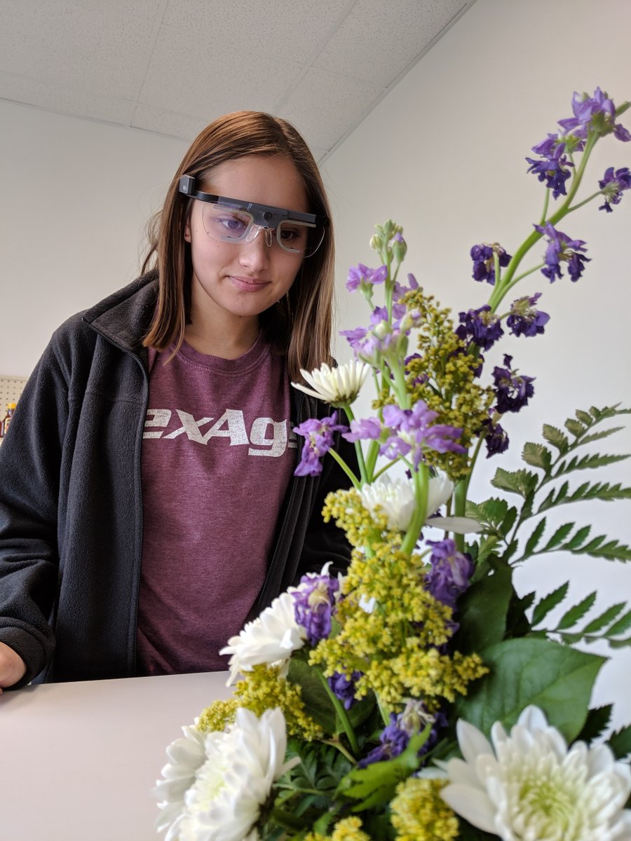 We tested 8 top economic games, 7 of those did not produce different outcomes. The results suggest that experiments may incorporate eye-tracking equipment without altering participant economic behavior, even after low quality eye-tracking data was removed: shorturl.at/isGX7