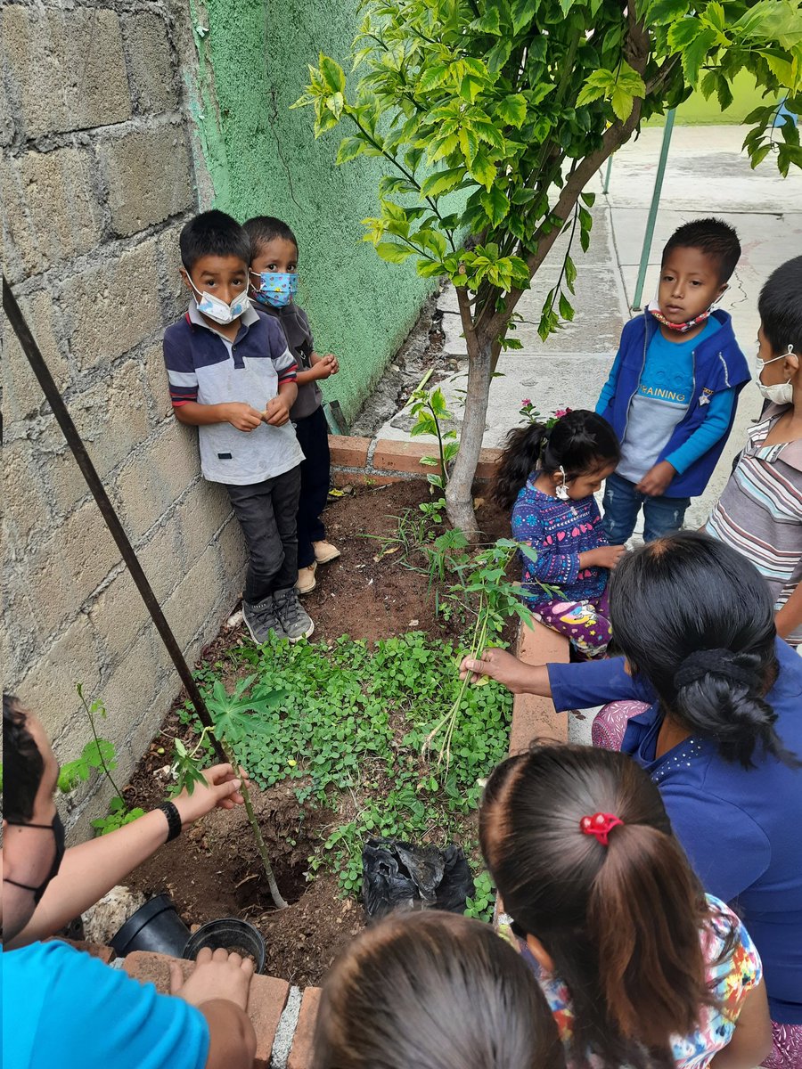 luzxoxo's tweet photo. En el J.N. Alfonso Garcia Robles 15EJN2912R Z.E. J218 en Los Melchores de san Lucas, Tejupilco, MEXICO  se aplicaron acciones en favor del medio ambiente #maratonMedioAmbiente  @SEB_Edomex @TinocoGRogelio https://t.co/iHsiXjC5xE