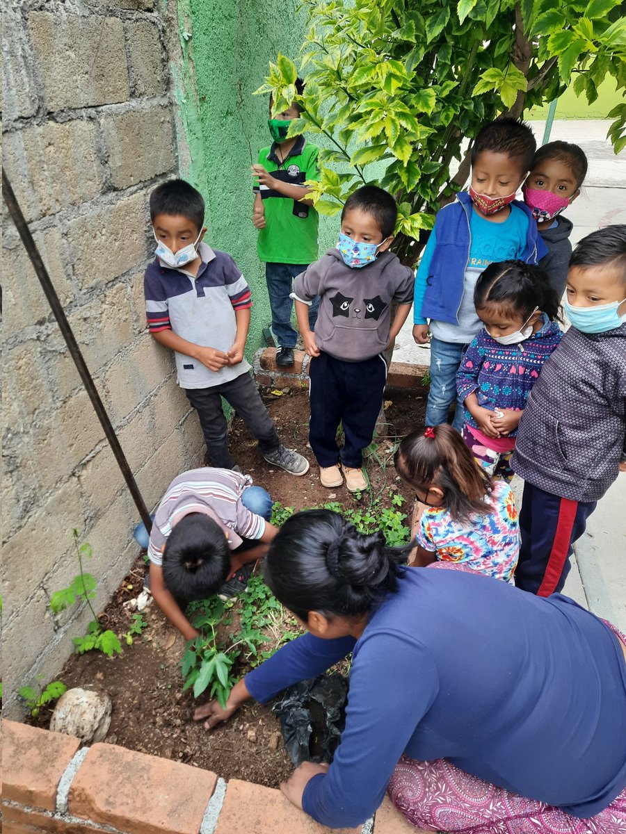 luzxoxo's tweet photo. En el J.N. Alfonso Garcia Robles 15EJN2912R Z.E. J218 en Los Melchores de san Lucas, Tejupilco, MEXICO  se aplicaron acciones en favor del medio ambiente #maratonMedioAmbiente  @SEB_Edomex @TinocoGRogelio https://t.co/iHsiXjC5xE