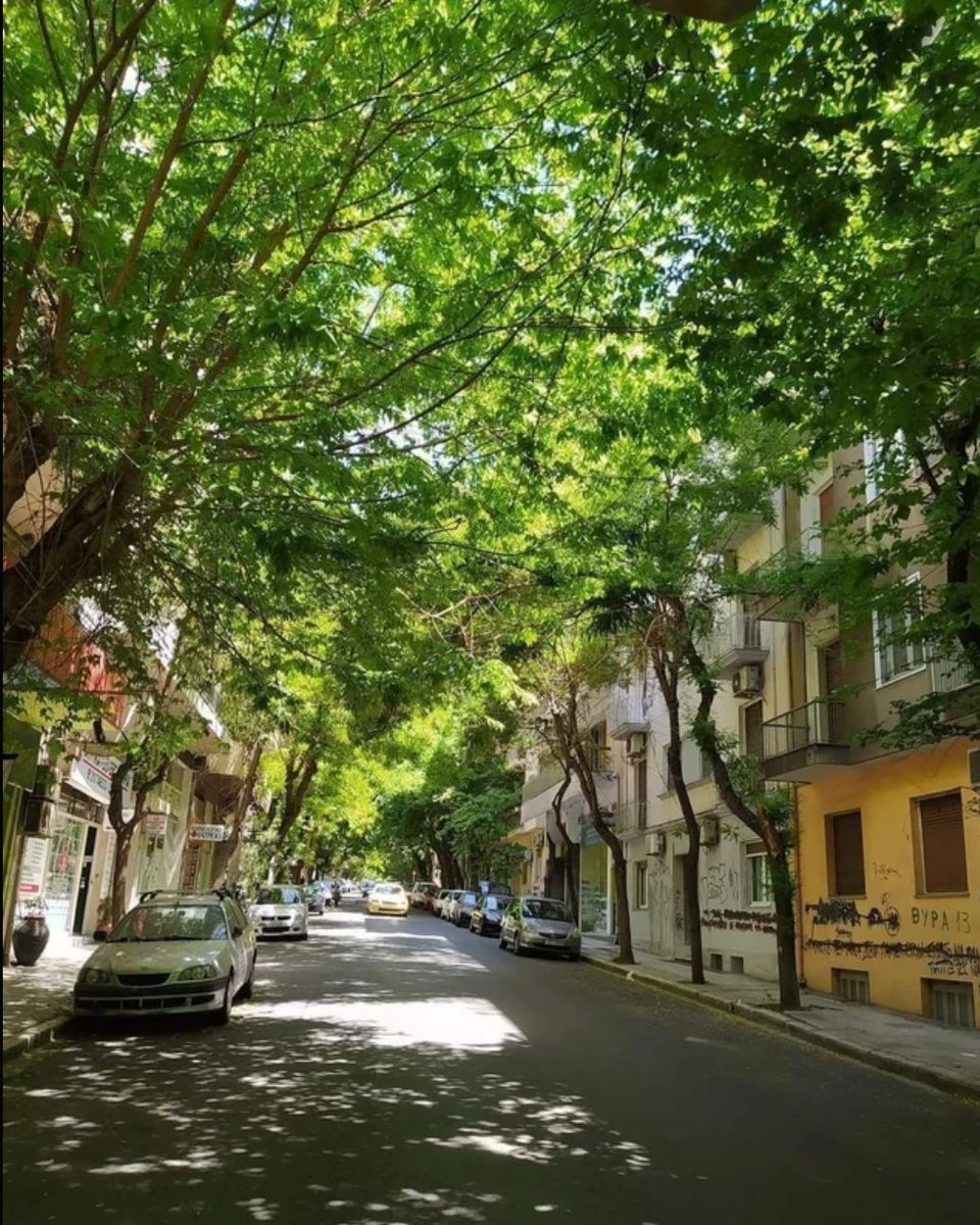 fapaksapla's tweet photo. Οδός Μ. Ασίας στο Γουδί, Αθήνα:
Πέρσυ                             Φέτος
#τι_ψηφισατε_ρε_γιδοψηφοφοροι #πουλι #πουτινακια #ΜΕ_ΤΟΝ_ΚΥΡΙΑΚΟ #με_τον_ηλιθιο_κυριακο https://t.co/ATAFJimJhg