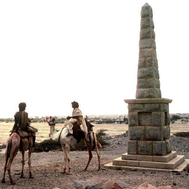 محمد احمد عبدالله tweet media