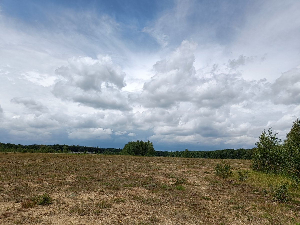 Rijerscamp Wolfheze

<a href="/weeronline/">Weeronline</a>
<a href="/Weerplaza/">Weerplaza.nl</a>
@Talpaweer
<a href="/BuienRadarNL/">Buienradar</a>
<a href="/OmroepGLD/">Omroep Gelderland</a>
<a href="/onwukaa/">Amara Onwuka</a>
@MarcdeJongRTL
<a href="/nicolienkroon/">nicolienkroon</a>
<a href="/MartijnDorrest1/">Martijn Dorrestein</a>
<a href="/RTLnieuws/">RTL Nieuws</a>
<a href="/HartvNL/">Hart van Nederland</a>
<a href="/mrmiddendorp/">Maurice Middendorp</a>
<a href="/jordiweerman/">Jordi Huirne</a>
<a href="/WilliamHuizinga/">William Huizinga</a>
<a href="/helgavanleur/">Helga van Leur ☀</a>
<a href="/marjondehond/">Marjon de Hond</a>