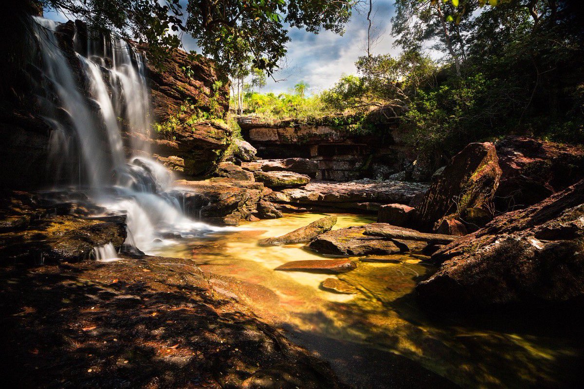 CORMACARENA's tweet photo. ¡Caño Cristales está listo para recibir cerca de 900 turistas al día!

Este ecosistema que requiere de las lluvias para mostrar las hermosas tonalidades fucsia, en el 2021 recibió a 6.609 colombianos y 773 extranjeros, quienes conocieron la maravilla del Mundo.

#ViveLaMagia https://t.co/Pa8Yx6kf5c