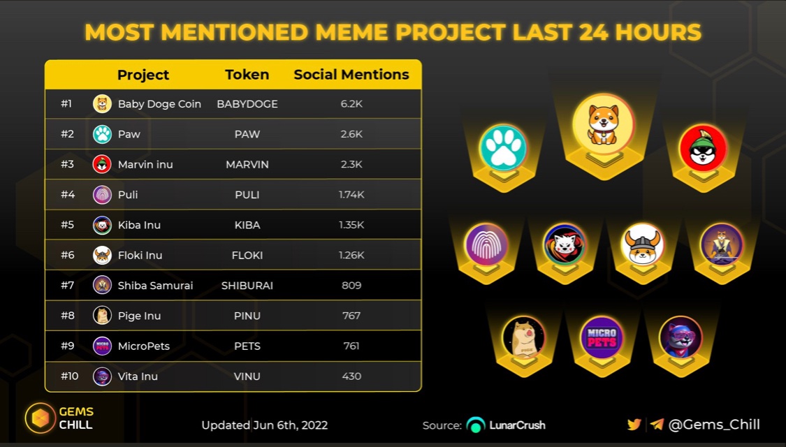 Pawstronaut tweet media
