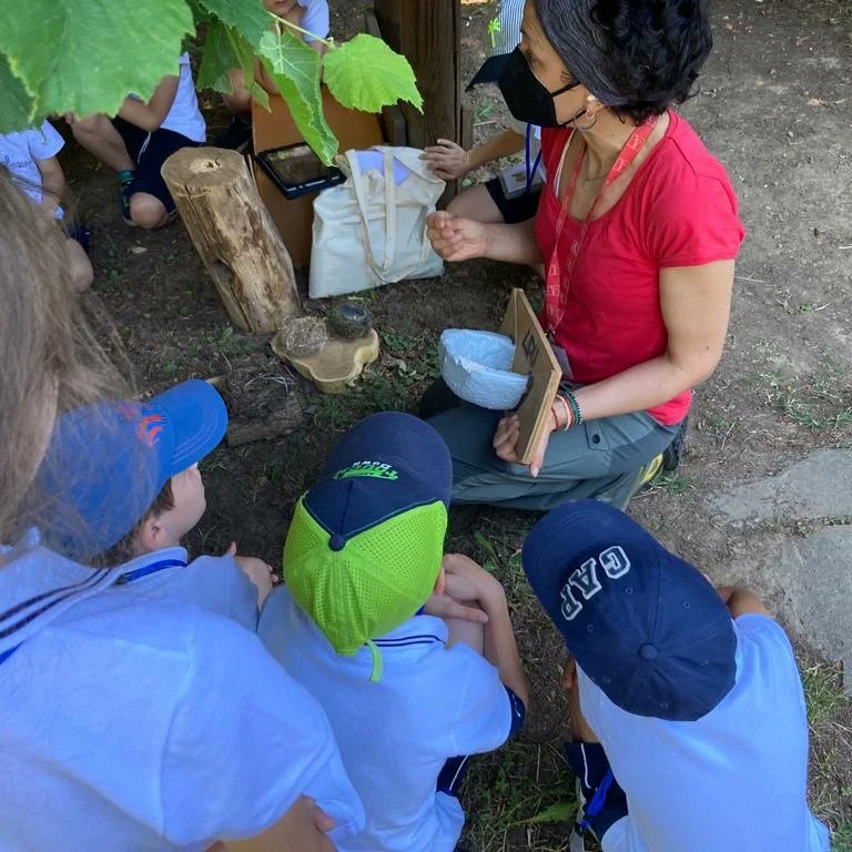 sdbpaderno's tweet photo. Dalle radici alla chioma... I bimbi di #2primaria all'oasi Lipu di Cesano Maderno https://t.co/kdmgCz4TrA