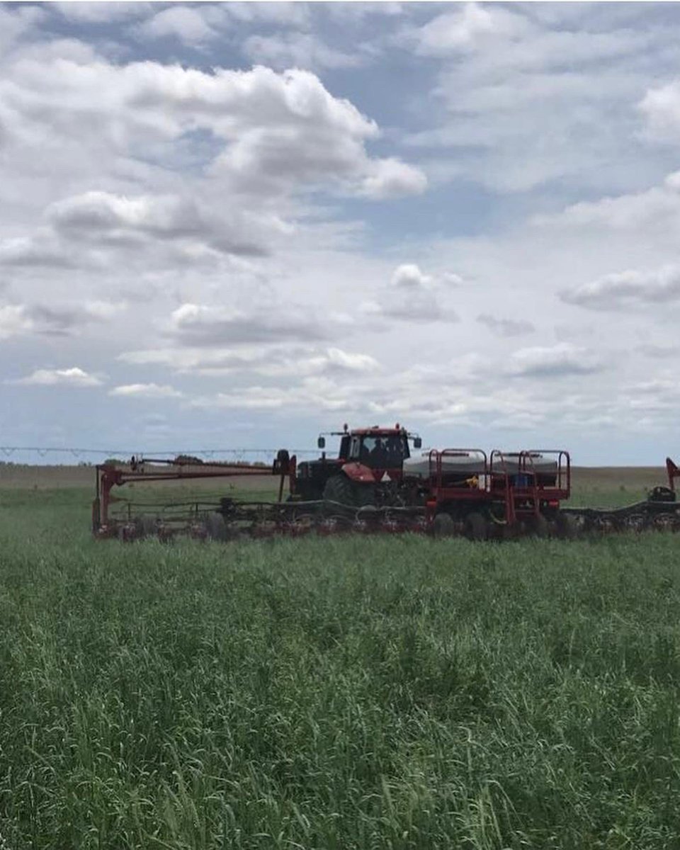 MedunaInc's tweet photo. A lot of great Pioneer seed plots went in this year. As always, we're extremely thankful for the farmers who allow us to capture this data! We are excited to see what this fall brings! @PioneerSeeds https://t.co/kMiqSp0QCB