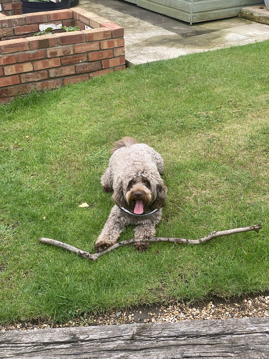 MultifabMetals's tweet photo. Our Boys Birthday. Easy for present choosing. #StickBoy https://t.co/DhhHBkCJiu