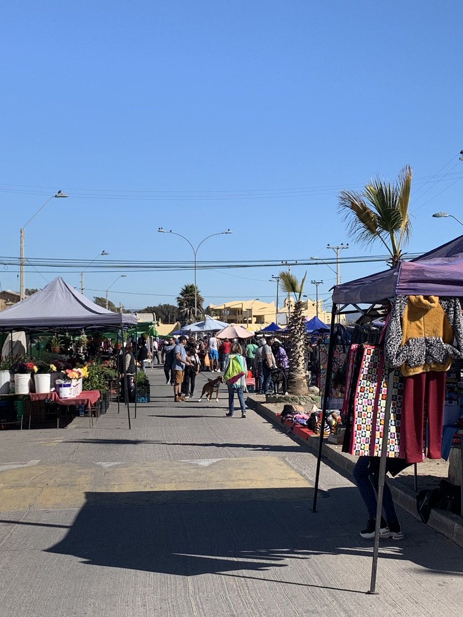 Carolin48370014's tweet photo. En la feria de Tongoy… impresiona hablar y escuchar a la gente , no les interesa ni creen en la nueva constitución. #Rechazo @Francis25830521 @carreragonzalo aca hay que hacer campaña #RechazoElPlurimamarracho https://t.co/mR5U3WZDXl