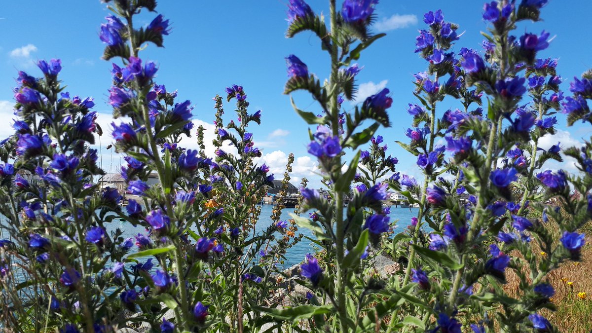 KaterinaPool's tweet image. How much do I love the beauty of North Wales?? 🏴󠁧󠁢󠁷󠁬󠁳󠁿🏴󠁧󠁢󠁷󠁬󠁳󠁿 #lovewales