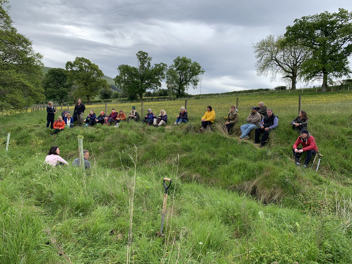 Russell Rowley tweet media