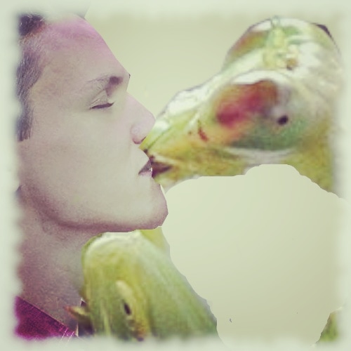 HourWayan's tweet photo. New Mantis Hour is up!

The Au Pairs, The Go go's and The Muffs.

https://t.co/NYmiVmVT0O https://t.co/sNeyhpNwms