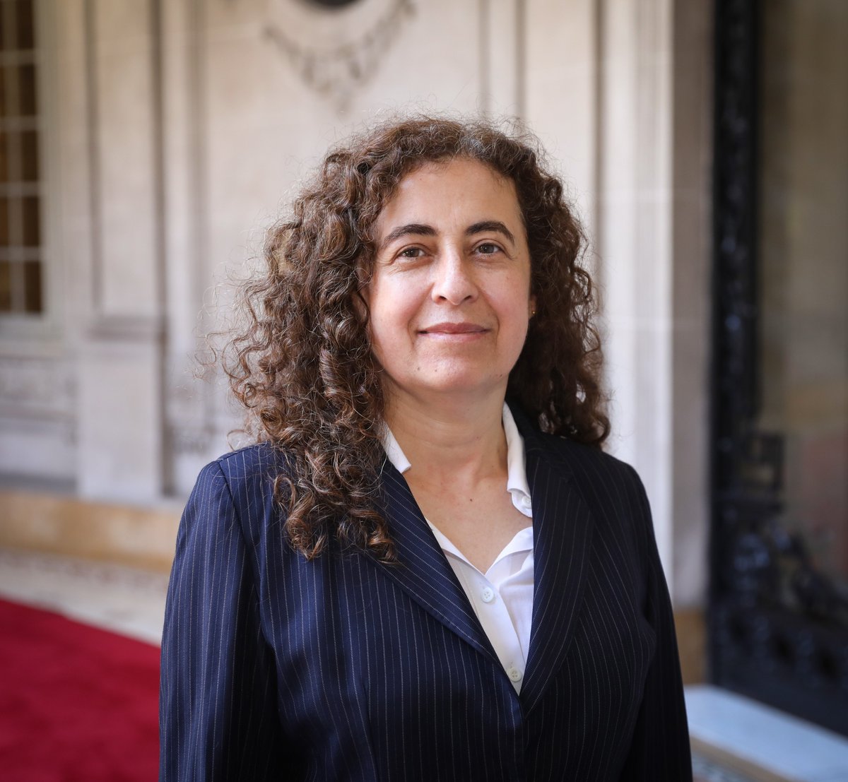Cancilleria_Ar's tweet photo. 👦🏻👧🏻 Argentina vuelve a integrar el Comité de los Derechos del Niño de Naciones Unidas tras 17 años 🇺🇳

La Dra. Mary Beloff resultó electa en 1° lugar en la votación llevada a cabo hoy en Nueva York para integrar el Comité durante el período 2023-2027. https://t.co/AM3wafzwY9