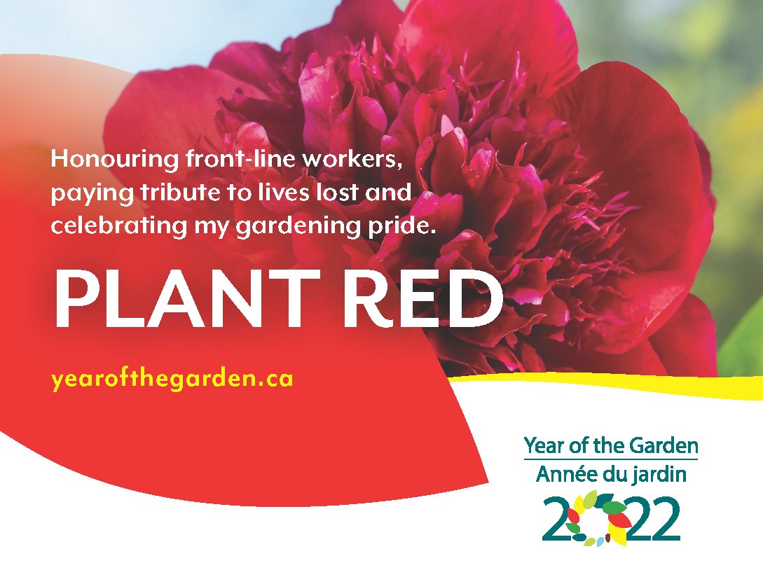 Cinquain Poem About Flowers