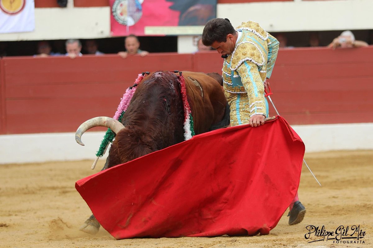 📍🇫🇷 Vic-Fezensac.