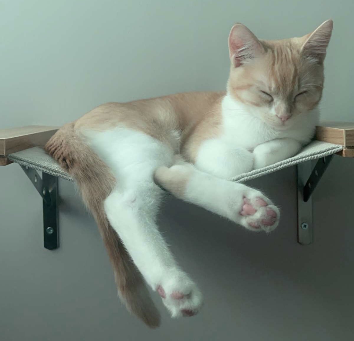 pixiejam_'s tweet photo. oh lawd he chillin https://t.co/QFosVRP99v