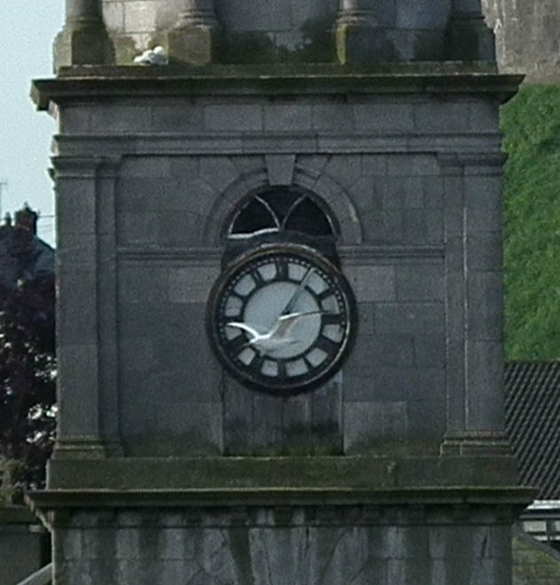 Unwrecked Drogheda tweet media