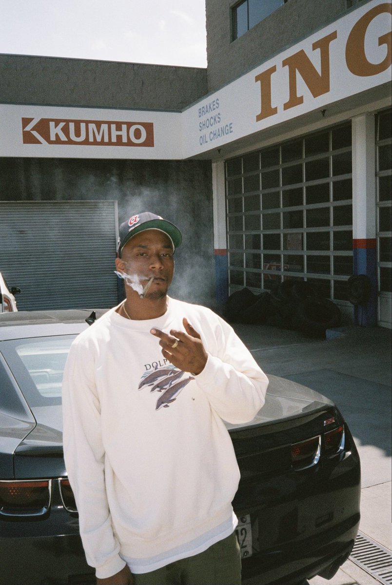 P🌴🦈 tweet media