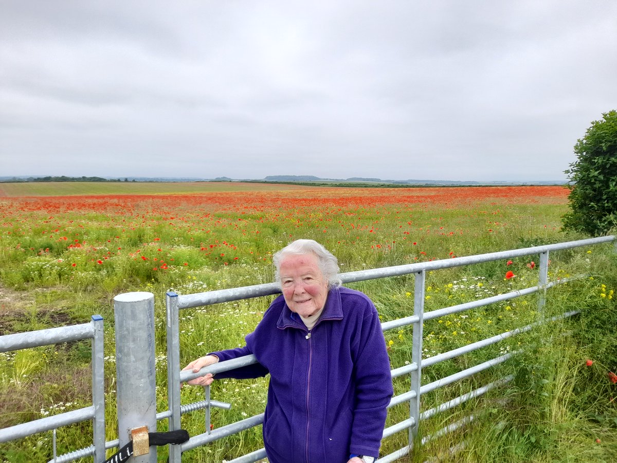 dewood62's tweet photo. Lest we forget.
Robert E Fielder KIA 6/6/44 Ranville 6th Airborne 716 Coy 
We will remember them
Photo Robert's Sister (my Mum) today, a field full of poppies near Tarrant Rushton airfield Dorset https://t.co/zlBRE6o6zf