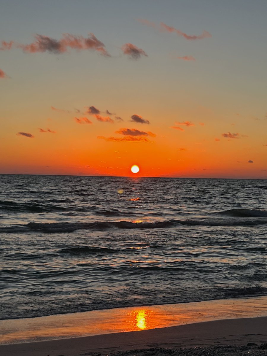 emxdcruz's tweet photo. marcada del sol y de todo lo bueno🥭🥵📖🐚🕶🌅💚 https://t.co/eWVYzXsLrB