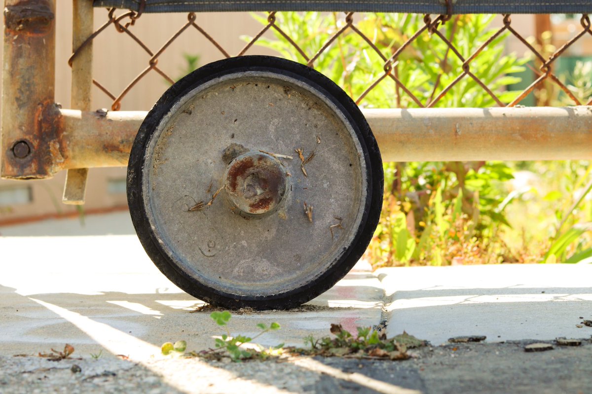 Capturing the moment 📸