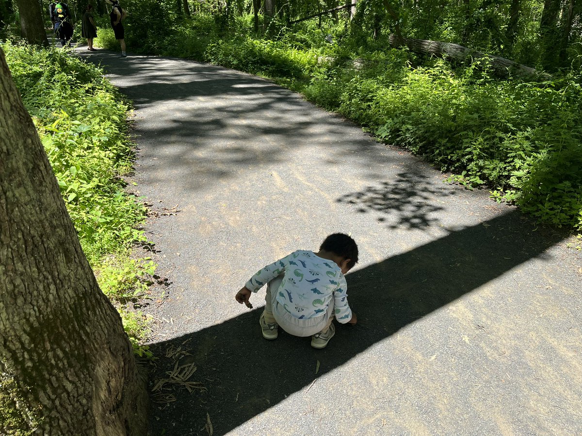 PeggyAshbrook's tweet image. What does a shadow feel like? #earlyscience #STEMstartsEarly #phenomena @ECSIF