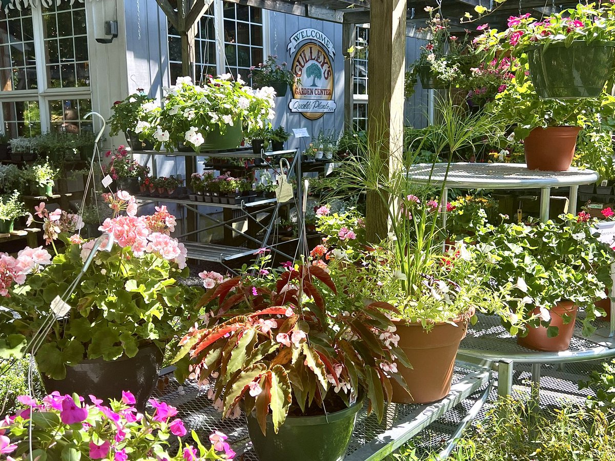 Gulley's Garden Center🌳🌼🌸
#June2022 
Photo By: Joseph Hill 🙂📸🌼🌸

gulleysgardencenter.com
#GulleysGardenCenter🌳🌼🌸
#plantnursery #gardencenter #garden #plants #Flowers #summer #SouthernPinesNC #June