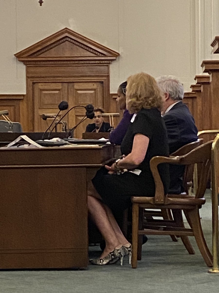 njymca's tweet photo. Moments ago Senate Health &amp; Human Committee passed an important bill package sponsored by @SenJoeVitale @SenMTeresaRuiz that will make #childcare in #NJ more accessible, affordable &amp; inclusive. Shout out to @RoseCushing4 for representing @njymca &amp; testifying in support! https://t.co/RzOBnqzKBg