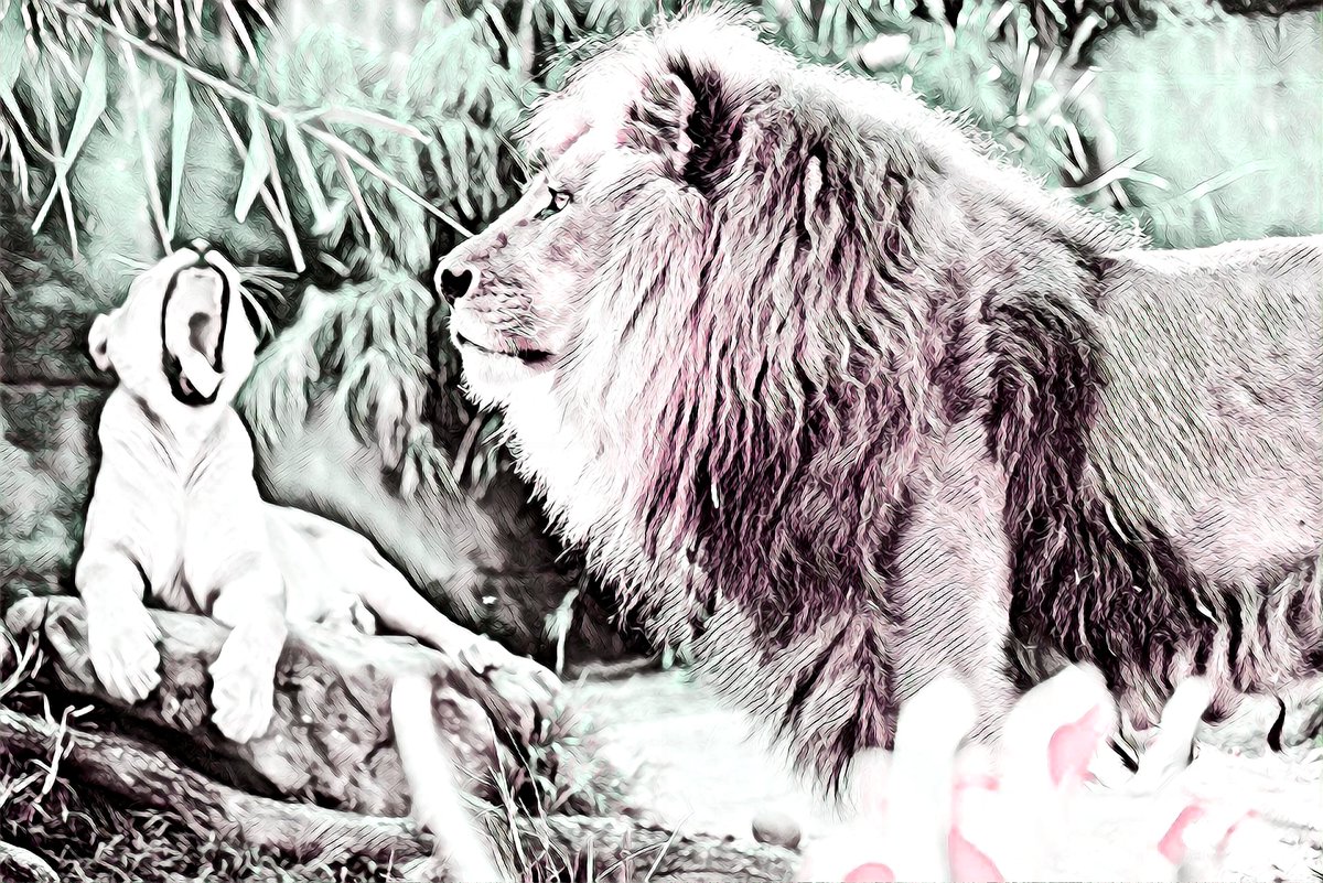 JimmysWorkspace's tweet photo. Lions
https://t.co/G9eMWGgX5C

#NFTs #nftcollectors #NFTCollection #NFTCommunity #nftart #Opensea https://t.co/gg0cJ2xmAC