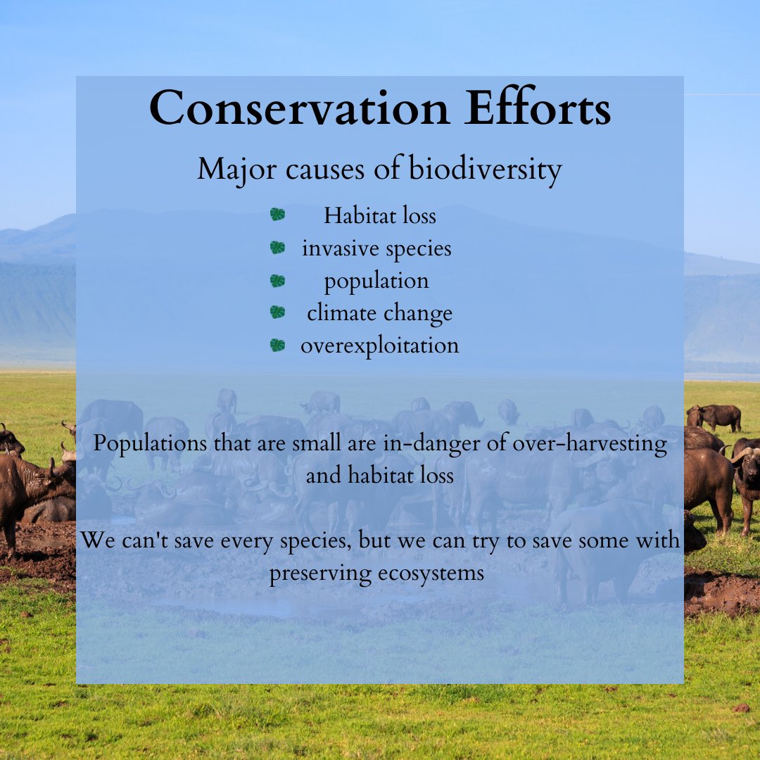 Sam_Botnick1's tweet photo. Check out the importance of Biodiversity! #bio100 @JessFellmeth (3-3) https://t.co/LQI2ZN1K4T