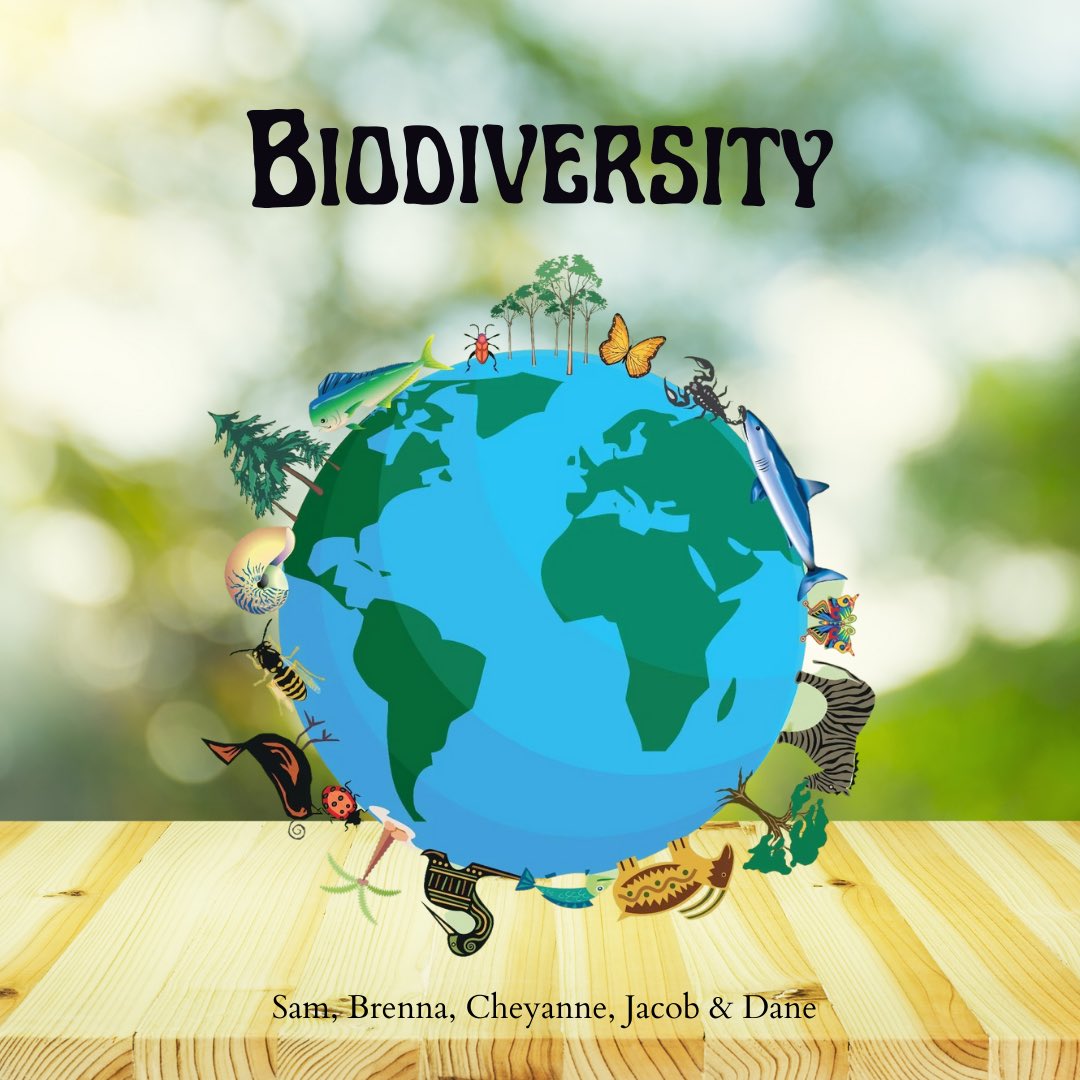 Sam_Botnick1's tweet photo. Check out the importance of Biodiversity! #bio100 @JessFellmeth (1-3) https://t.co/GzLF7AKt5o