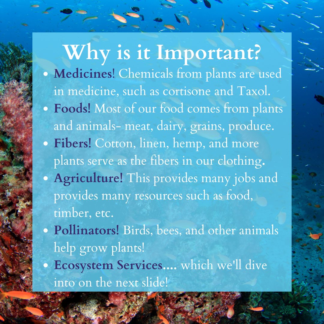 Sam_Botnick1's tweet photo. Check out the importance of Biodiversity! #bio100 @JessFellmeth (2-3) https://t.co/Mp6jwBWAd7