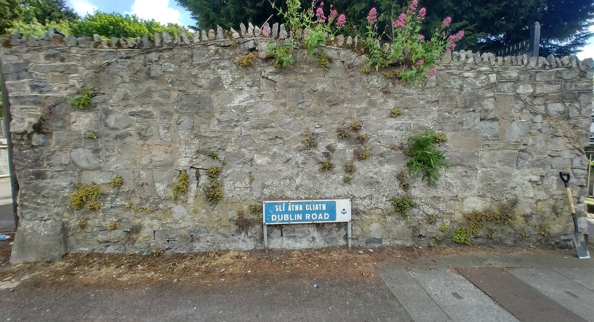 DrogTidyTown's tweet photo. Dublin Road Clean Up this morning by @DominickBran 
Some before and after pics. 
#adoptanarea
#droghedatidytowns https://t.co/Q5Dm0vJIGm
