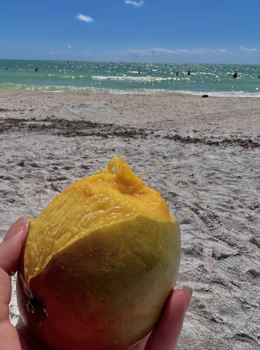 emxdcruz's tweet photo. marcada del sol y de todo lo bueno🥭🥵📖🐚🕶🌅💚 https://t.co/eWVYzXsLrB