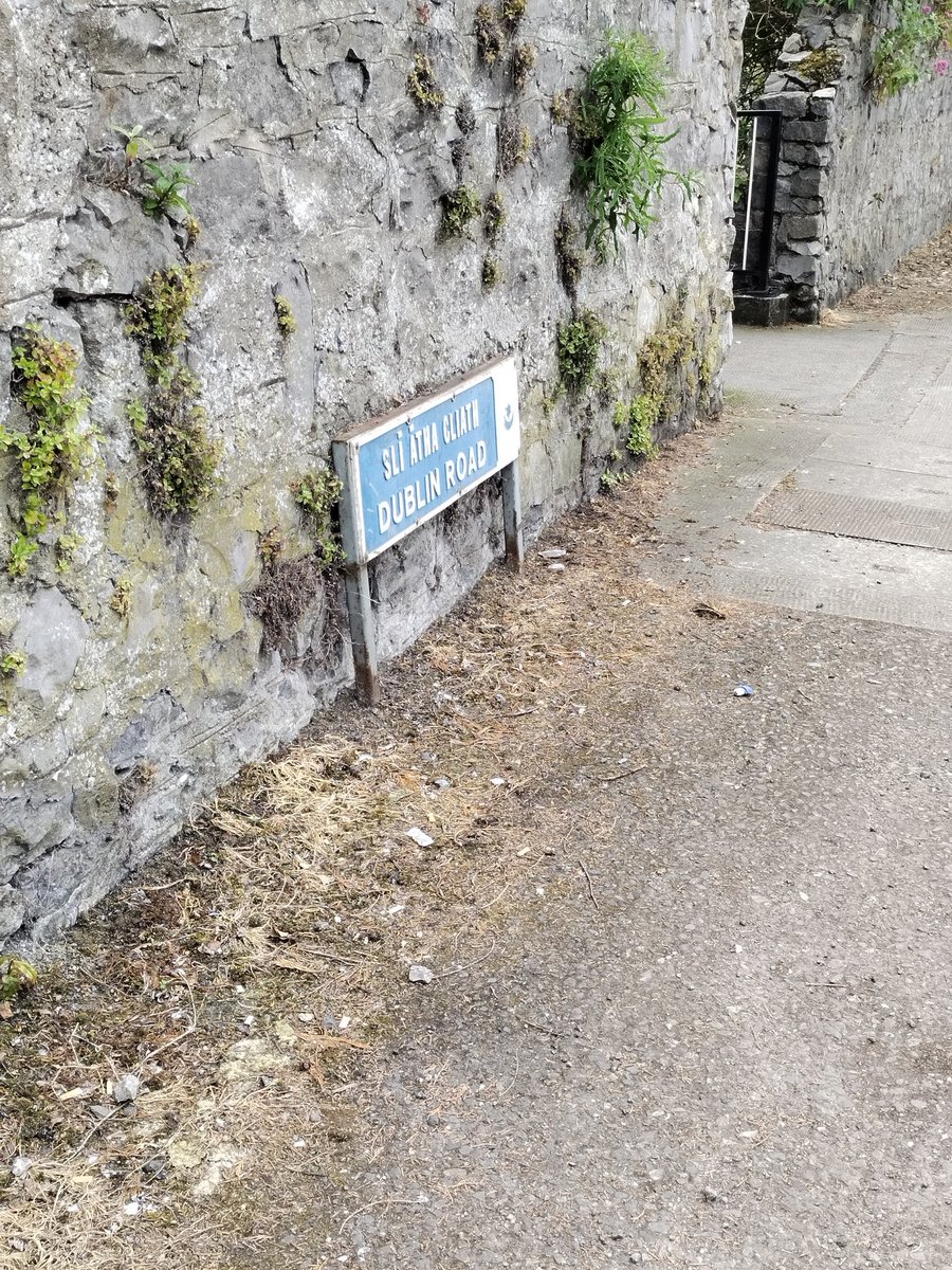 DrogTidyTown's tweet photo. Dublin Road Clean Up this morning by @DominickBran 
Some before and after pics. 
#adoptanarea
#droghedatidytowns https://t.co/Q5Dm0vJIGm