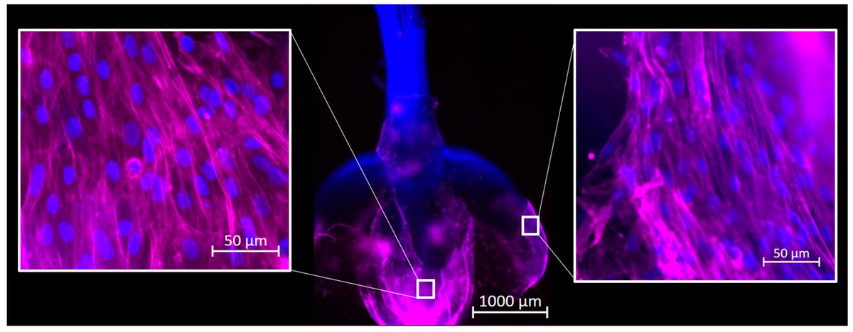Richard Thyden tweet media