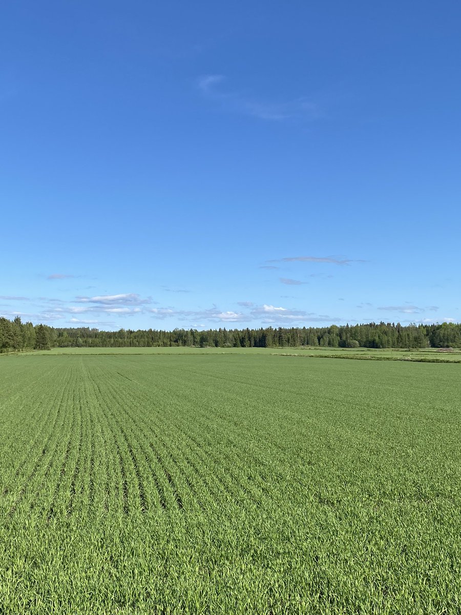Kasvustokierroksella 🌱🌾🌦