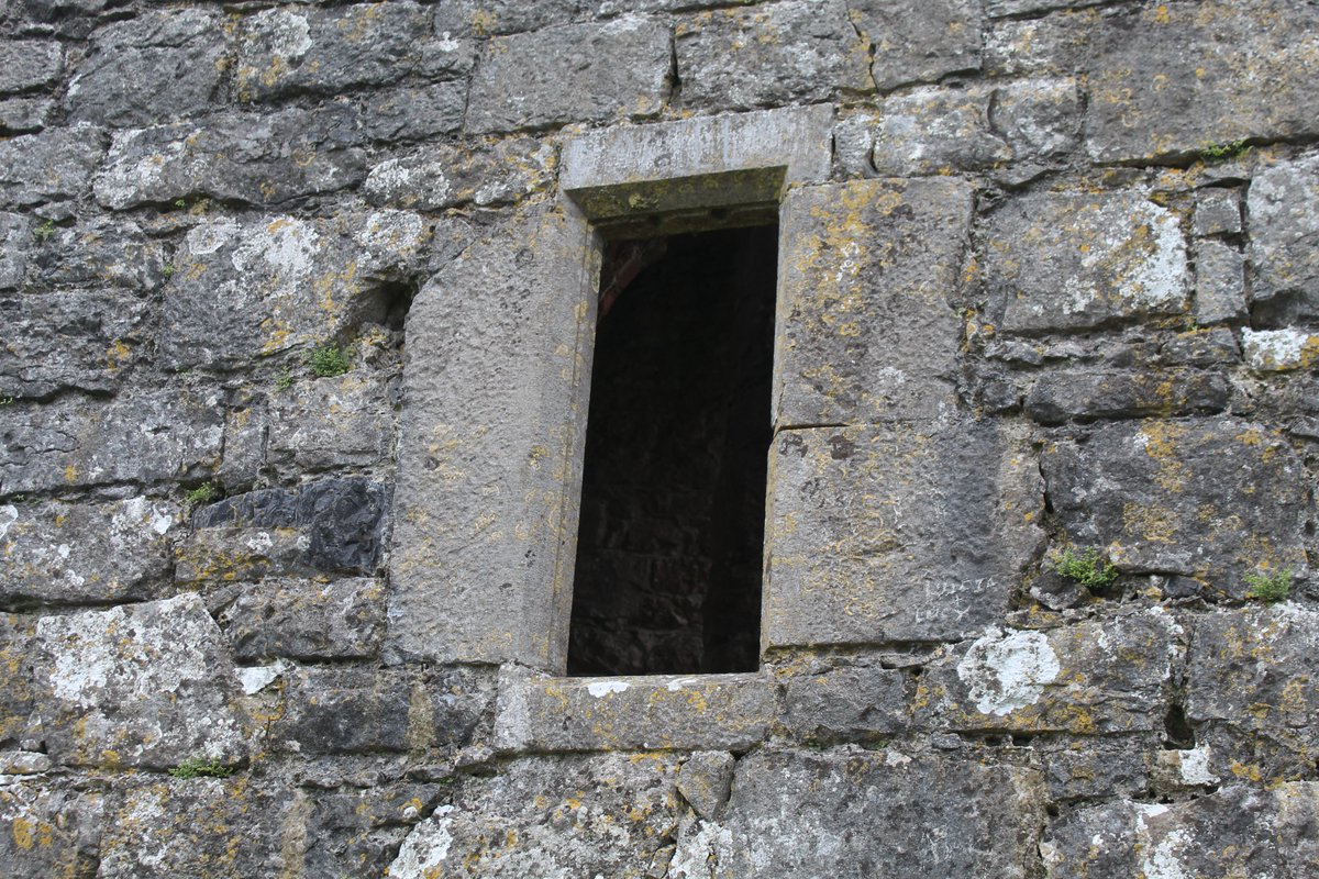 gflorrie's tweet photo. Loads of people visiting the Rock of Dunamase today
@tourism_laois @Failte_Ireland @Ballykilcavan https://t.co/YgTOPJLesv