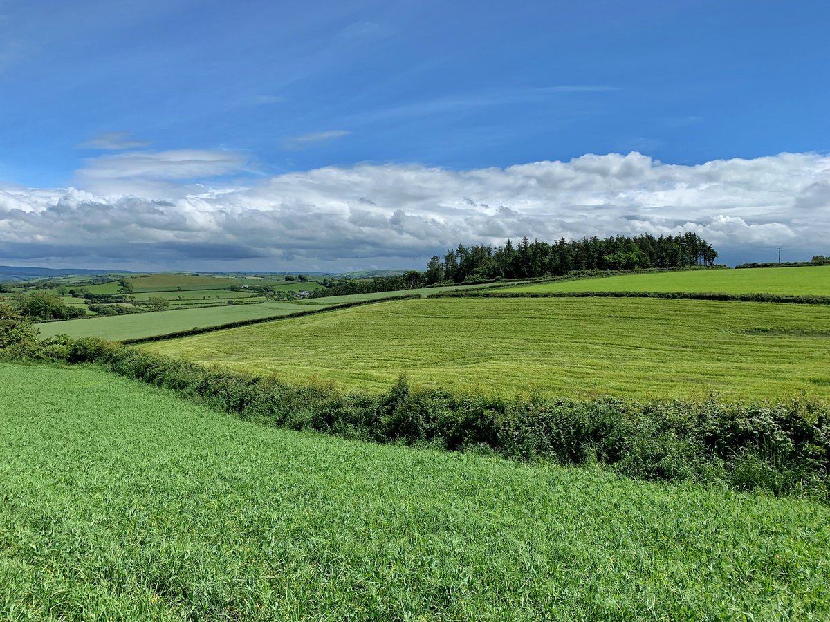 Trawsgoed Farm tweet media