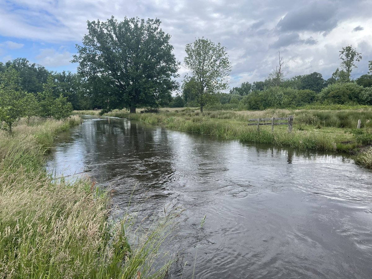 MadoRuys's tweet photo. Fiets-inspectie ochtend.  #Dommel blijft netjes binnen zijn profiel ondanks vele neerslag gister, #Borkel en Schaft. Ook even langs project klimaatrobuust Leenderstrijp, vorig jr opgeleverd, ziet goed ingericht uit 🐛🦋 https://t.co/DTCIgqsHfm