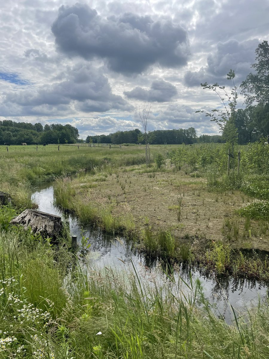 MadoRuys's tweet photo. Fiets-inspectie ochtend.  #Dommel blijft netjes binnen zijn profiel ondanks vele neerslag gister, #Borkel en Schaft. Ook even langs project klimaatrobuust Leenderstrijp, vorig jr opgeleverd, ziet goed ingericht uit 🐛🦋 https://t.co/DTCIgqsHfm