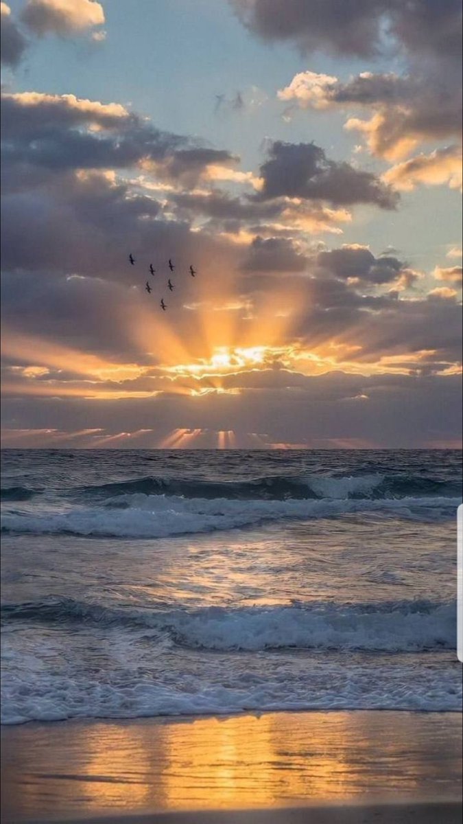 Fdsy32's tweet photo. مو كل من يسهر يحب . . ويعاني 
ولا كل من غنا بـ هالوقت مهموم

شفني انا سهران واسمع .. اشعاري 
مافيني حاجه بس : ماجاني النوم  . https://t.co/HwU3QXx1C2