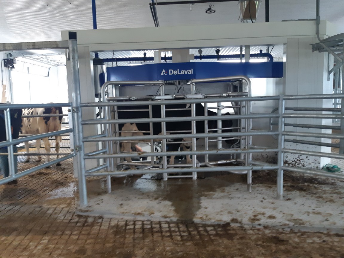 A big congratulations to the Jansen family! Today is the startup of their <a href="/DeLavalCanada/">DeLaval Canada</a> robot. #DairyDoneWell fantastic work team and a big thank you to the Jansen family for choosing Norwell.

<a href="/joejansen1/">Joe Jansen</a> 
<a href="/DeLaval/">DeLaval</a> #ontag #farming