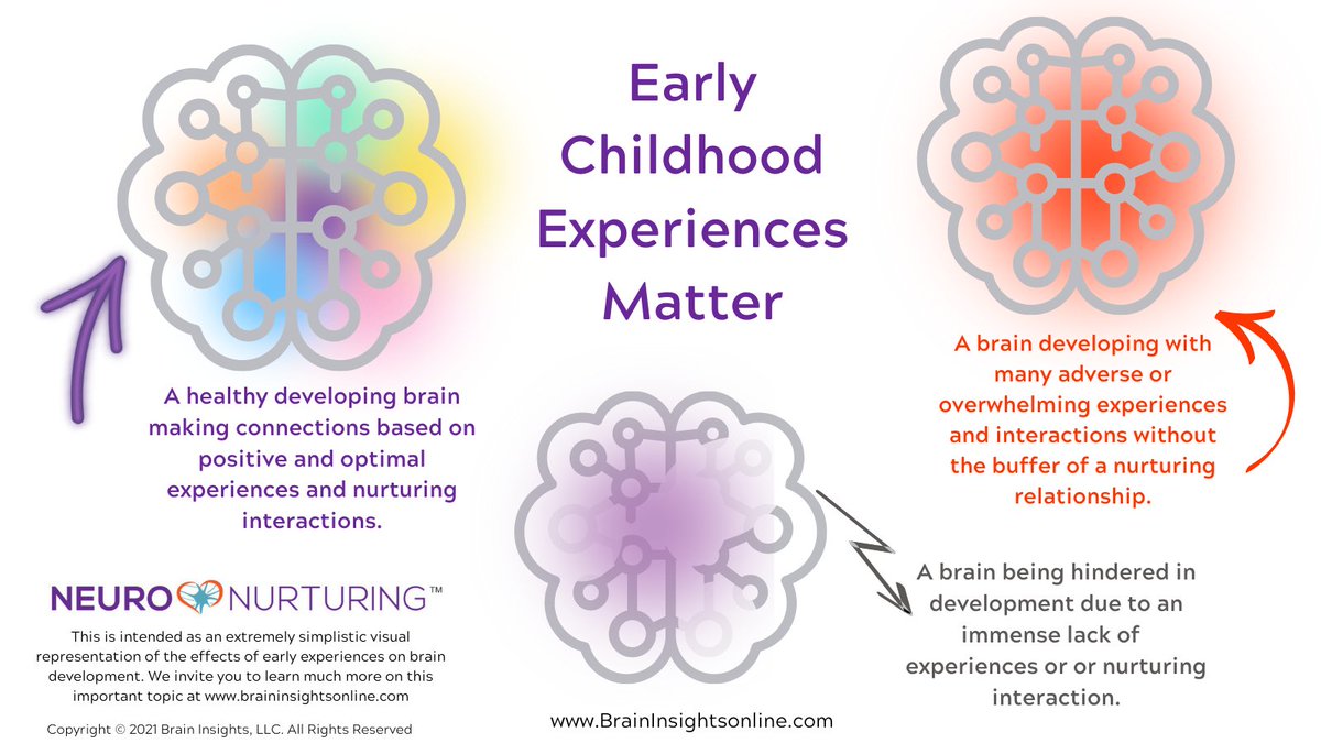 braininsights's tweet photo. Because the brain develops so rapidly based on repeated experiences during the earliest days &amp; months, it is essential that priority goes into this incredibly significant time. Taking advantage of this wonderful opportunity makes a positive difference! #attachment #babies #baby https://t.co/JJuCRgVIpA