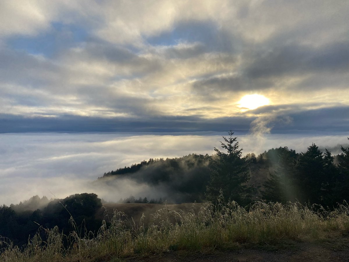 abisail's tweet photo. Sunday 8 P.M. and the only music a symphony of clouds and fog and sun.
#naturelovers #NaturePhotograhpy
(#sunday8pm @faithless) https://t.co/ZIEMQHxXhY