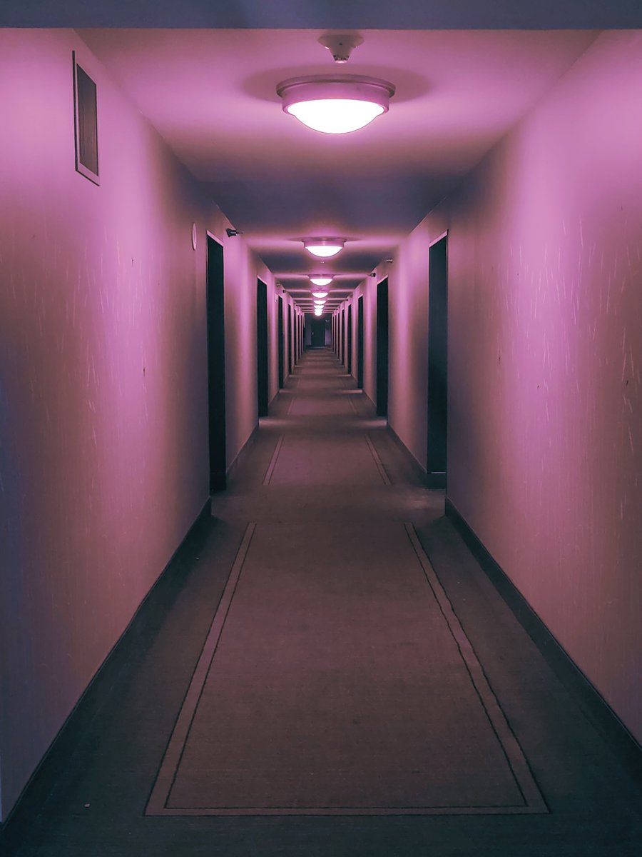 v_ness_l's tweet photo. Creepy Vegas hotel hallway and a gaudy flower zebra. I forgot how ugly everything is here, especially in the daytime 🙃 https://t.co/10G1XlJqzU