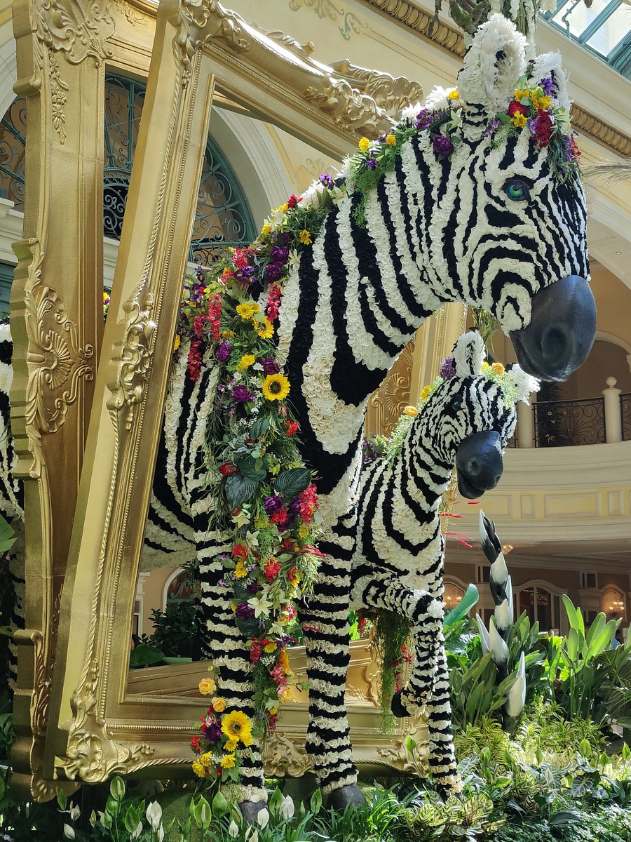 v_ness_l's tweet photo. Creepy Vegas hotel hallway and a gaudy flower zebra. I forgot how ugly everything is here, especially in the daytime 🙃 https://t.co/10G1XlJqzU